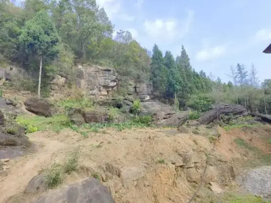 嘉陵江流域成熟滑坡野外勘察记录