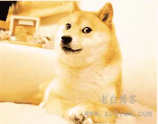 wordpress网站批量修改增加文章阅读量