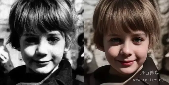 开源图片视频清晰化软件CodeFormer_GUI带界面