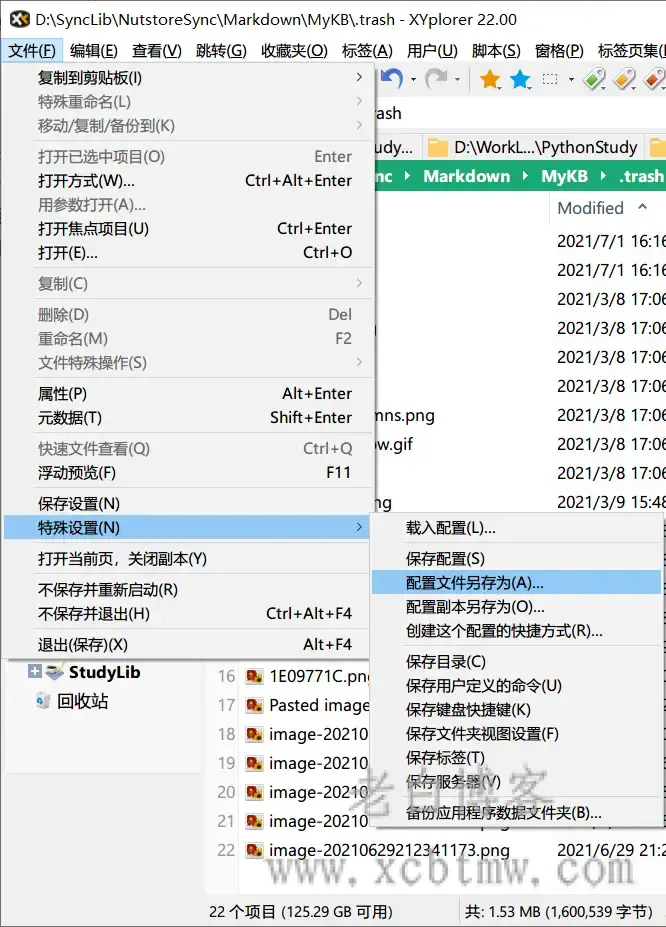 XYplorer设置-相关配置的备份保存与分享导入