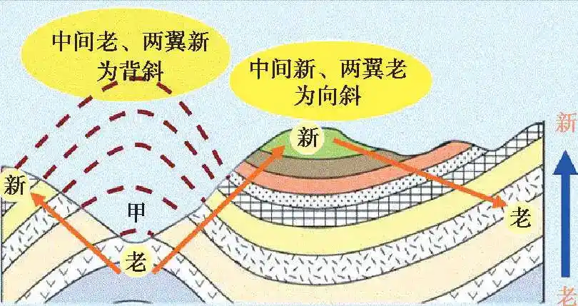 岩石褶皱构造的基本形式