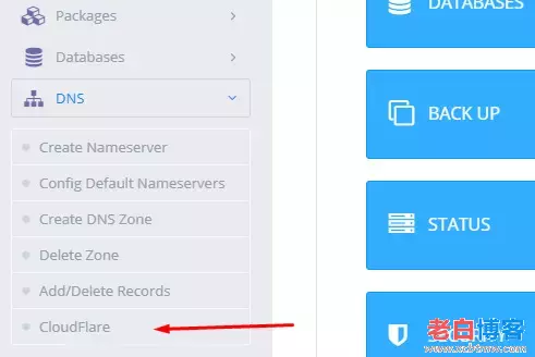 CyberPanel面板同步使用Cloudflare DNS