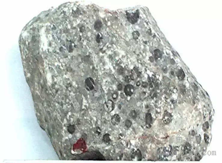 常见石灰岩的一般组构特征、分类和鉴定